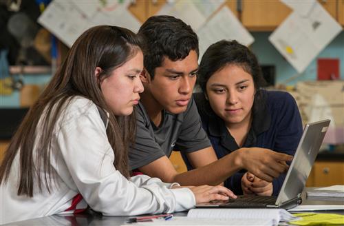 Dual Language 